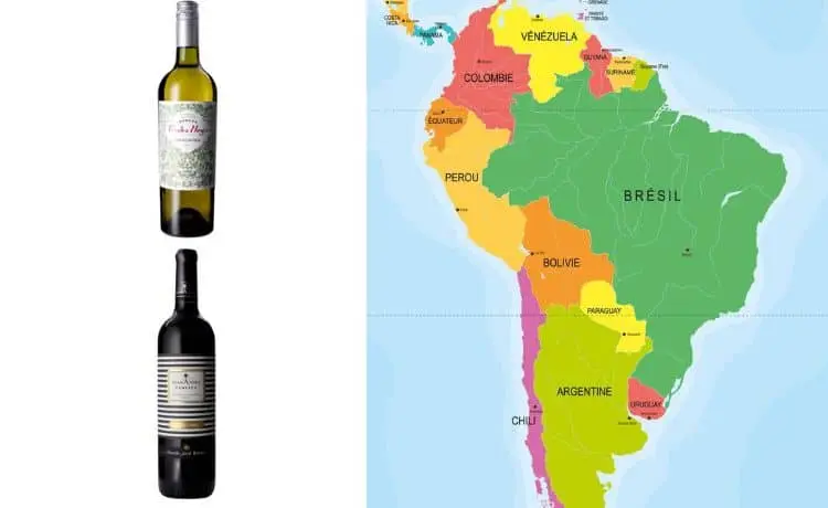 Les pays produisant les meilleurs vins d’Amérique latine