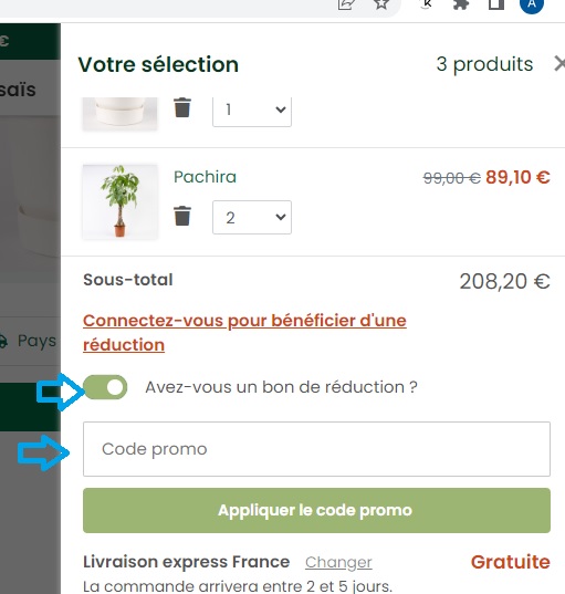 Comment utiliser un code promo begreen